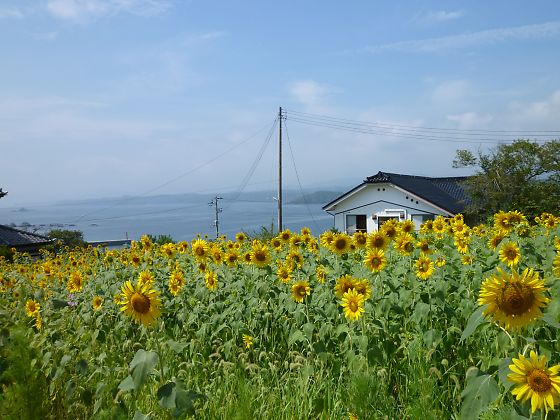 アップロードファイル 1412-1.jpg