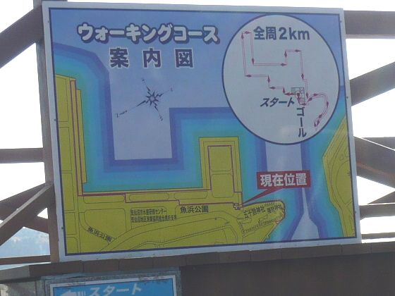 アップロードファイル 745-5.jpg