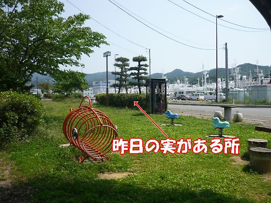 アップロードファイル 977-3.jpg
